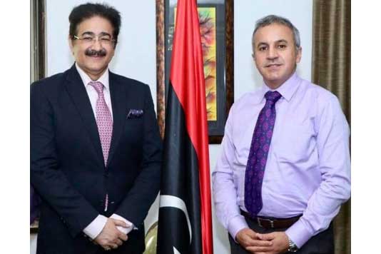 India And Libya Will Work Together For Promotion of Art